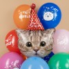 Воздушный шар Фигура (32''/81 см) Котик Ты Супер